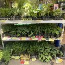 병순농장 이미지