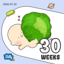 샘솟는화원 - 강화군 연미정길36번길 49 | 7.22 - 7.28 주간일기 (방학, 서순라길 나들이, 만삭 홈스냅, 파리 올림픽)
