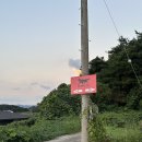 게르메스 | [보리의 Pick]광주근교애견카페 장성 게르메스 애견카페 방문후기