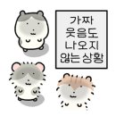 헌서광고