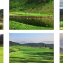 골든베이 이미지