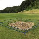 멧돼지 태양광발전소 이미지