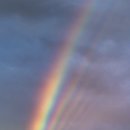 강동약국 이미지