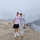 한국진돗개안전 씨엔에스(주) | 시드니 페더데일 동물원 "오픈런" (쿼카못본썰, 캥거루 먹이주기, 코알라와 사진찍기, 동물들이 잠들기...