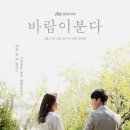 바람이분다 티스토리