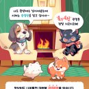 디엔씨 동물병원 이미지