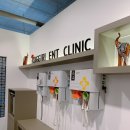 코끼리이비인후과의원 이미지