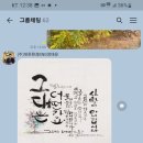 착한나무 이미지