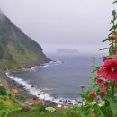 은빛파도 이미지