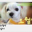 김지영복싱GYM 이미지