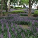 선화당 화장실 이미지