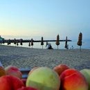 낙산7호넷비치 | 양양 비치마켓 여름밤의 감성 낙산 불꽃쇼 후기