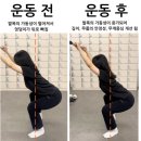 해피데이지