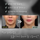다움솔루션