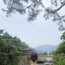 용추솔밭관광농원 | 충북제천여행*3-3 제천관광택시 후기/ 비룡담저수지,의림지,용추폭포