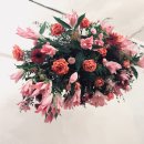 모리앤토