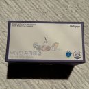 브이핏 | 델리스푼 브이핏 임산부 수유부 섭취 가능 붓기차 후기