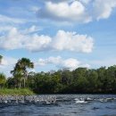 세포농장 이미지