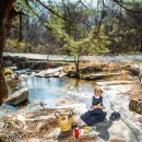 선비 코스 이미지