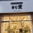 꽃안애 이미지