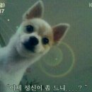 한투어 이미지