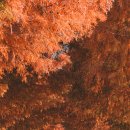 죽동마을회관 이미지