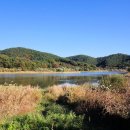 우포늪주차장 이미지