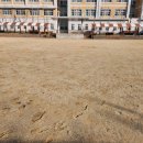 다빛초등학교 이미지