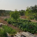 덕진농장 이미지