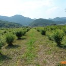 화봉농장 이미지