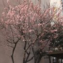 새윤약국 이미지