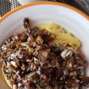 파레사애견풀빌라 이미지