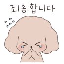 와이즈캐슬 이미지