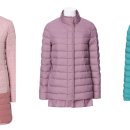 크로커다일레이디 이미지