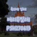 장부당까페 | W16. 메리쥬빌레 축의대 대행업체 계약 후기 (짝꿍할인코드 : PSH270613) | 꼼꼼히 정리해봤어요!