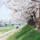 생태과학원정대 이미지