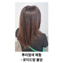 로이드밤헤어신불당동점 | 신불당 미용실 추천 / 로이드밤신불당동 뿌리 염색 만족 후기