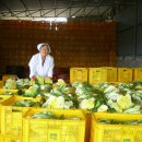 늘푸른농원 이미지