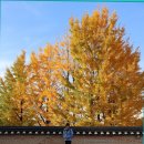 오늘도 좋은 하루 만드세요. 이미지