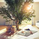 케렌시아 이미지