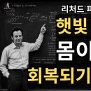 햇빛은 왜 비타민 알약과 다르게 작동할까? 이미지