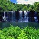 맑은사람들 이미지