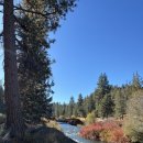 New 한국인이 많이 하는 영어 실수 (1) | 짠돌이 김자코의 10월 넷째주 일상 일기