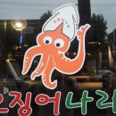 회·오징어나라
