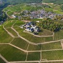 인문학과 와인세계 이미지