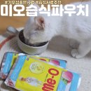 미오 고양이 습식 파우치 기호성 좋은 습식사료 후기