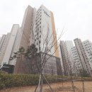 루나리움(031-793-8003)공인 이미지