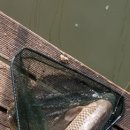 도채낚시터 이미지