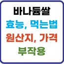 케이피엠(KPM) | 바나듐 쌀이란?(+효능, 먹는법, 원산지, 가격, 부작용)
