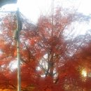 하노이의아침 이미지